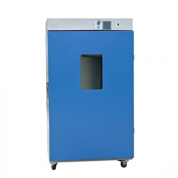 Freestanding Electric Oven, Forced Air, 220V/110V