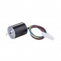 13000 Rpm 12V 24V Small Brushless DC Motor