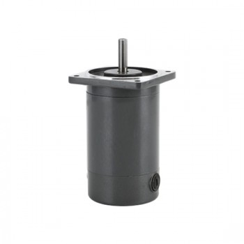 120 W DC Gear Motor, 3200 Rpm, 12V/24V 120 W DC Gear Motor, 3200 Rpm, 12V/24V