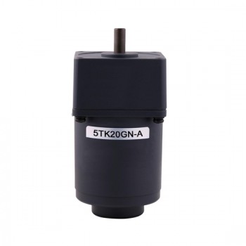 20 W AC Gear Motor, Torque  Motor With Gearbox, Single Phase 20 W AC Gear Motor, Torque  Motor With Gearbox, Single Phase