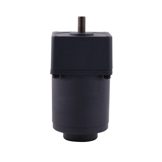 20 W AC Gear Motor, Torque  Motor With Gearbox, Single Phase 20 W AC Gear Motor, Torque  Motor With Gearbox, Single Phase