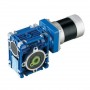 150 W DC Worm Gear Motor, 12V/24V/48V
