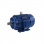 2 Hp (1.5kW) 3 Phase 4 Pole AC Induction Motor