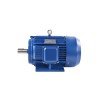 7.5 Hp (5.5kW) 3 Phase 2 Pole AC Induction Motor 7.5 Hp (5.5kW) 3 Phase 2 Pole AC Induction Motor