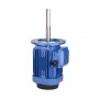 1/2 Hp 160mm Long Shaft Induction Motor, 2700 Rpm