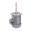 1/3 Hp 160mm Long Shaft Induction Motor, 2700 Rpm