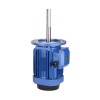 1.5 Hp 180mm Long Shaft Induction Motor, 2800 Rpm 1.5 Hp 180mm Long Shaft Induction Motor, 2800 Rpm