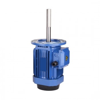 1.5 Hp 180mm Long Shaft Induction Motor, 2800 Rpm 1.5 Hp 180mm Long Shaft Induction Motor, 2800 Rpm
