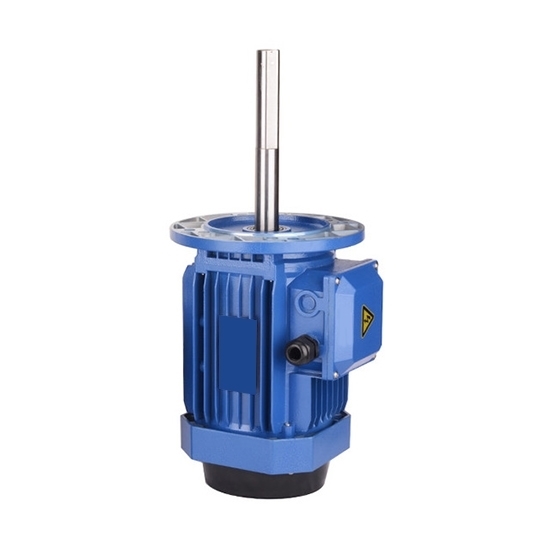 180/250W 160mm Long Shaft Induction Motor, 2700 Rpm 180/250W 160mm Long Shaft Induction Motor, 2700 Rpm