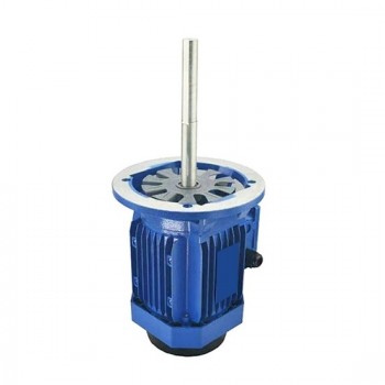 180/250W 160mm Long Shaft Induction Motor, 2700 Rpm