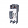 2 Pole Molded Case Circuit Breaker, 20A/ 30A/ 40A/ 50A To 100A