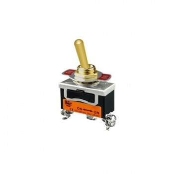 2 Pin Covered Toggle Switch