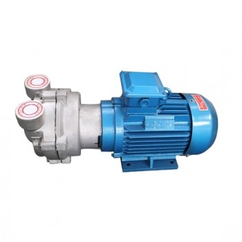 1 HP (0.81 KW) Water Ring Vacuum Pump 1 HP (0.81 KW) Water Ring Vacuum Pump