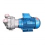 5 HP (3.85 KW) Water Ring Vacuum Pump