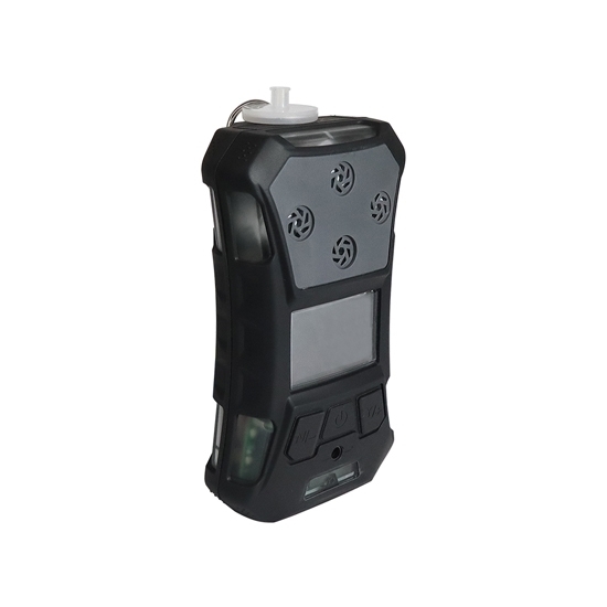 Portable  Explosion-Proof  Hydrogen Sulfide (H2S) Gas Detector Portable  Explosion-Proof  Hydrogen Sulfide (H2S) Gas Detector
