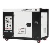 10kW (12.5kVA) Silent Diesel Generator, 1 Phase/3 Phase 10kW (12.5kVA) Silent Diesel Generator, 1 Phase/3 Phase