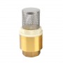 2 Inch Brass Foot Valve For Water Pump