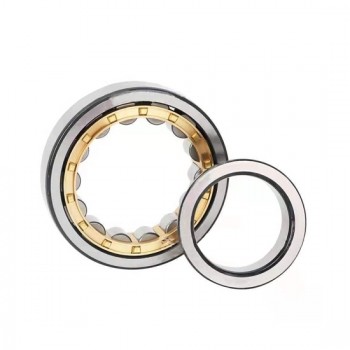 30mm Single Row Cylindrical Roller Bearing 30mm Single Row Cylindrical Roller Bearing