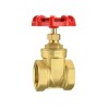 2 Inch Brass Gate Valve, DN50 2 Inch Brass Gate Valve, DN50