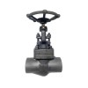 2" Forged Steel Globe Valve