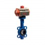 2-1/2" Pneumatic Wafer Butterfly Valve