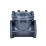1 Inch Swing Check Valve, DN25, CPVC