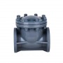 4 Inch Swing Check Valve, DN100, CPVC