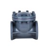 5 Inch Swing Check Valve, DN125, CPVC 5 Inch Swing Check Valve, DN125, CPVC