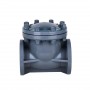 5 Inch Swing Check Valve, DN125, CPVC