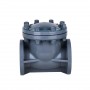 6 Inch Swing Check Valve, DN150, CPVC