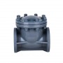 8 Inch Swing Check Valve, DN200, CPVC