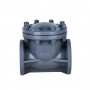 1 1/4 Inch Swing Check Valve, DN32, CPVC 1 1/4 Inch Swing Check Valve, DN32, CPVC