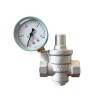 1 1/4" Spring Loaded Pressure Relief Valve, DN32