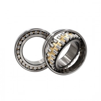 55mm Spherical Roller Bearing, Double Row 55mm Spherical Roller Bearing, Double Row